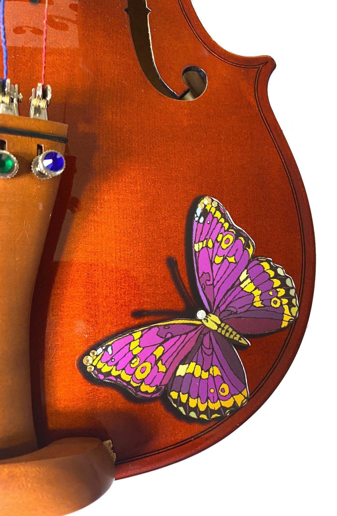 Butterfly Dream Bejeweled Violin Outfit
